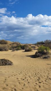 2023-GC--Mapalomas dunas-S123-073.jpg